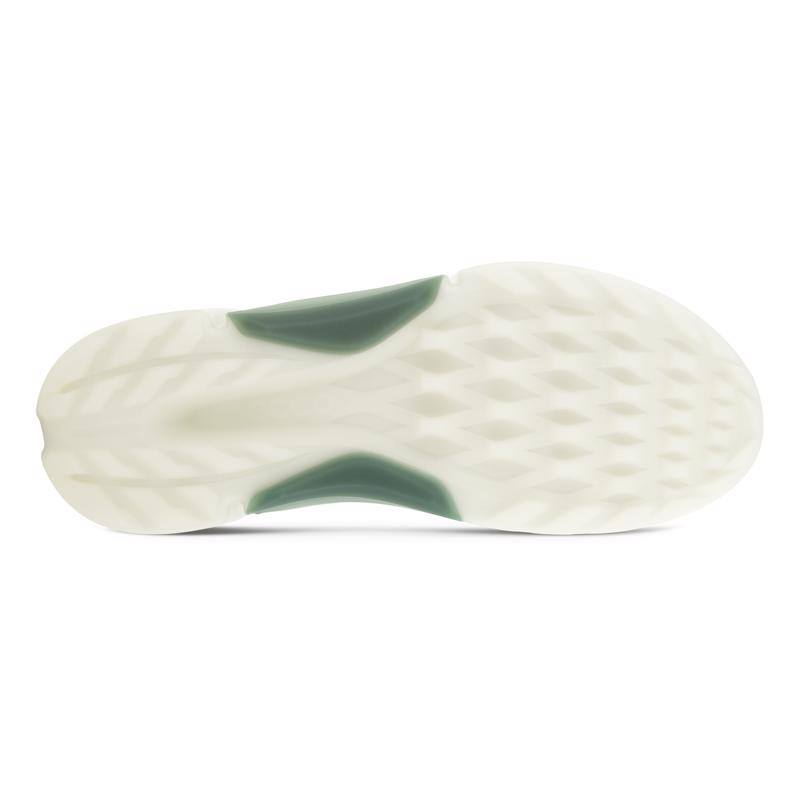 کفش اکو مردانه اصل مدل M Golf Biom H4 Magnet frosty green